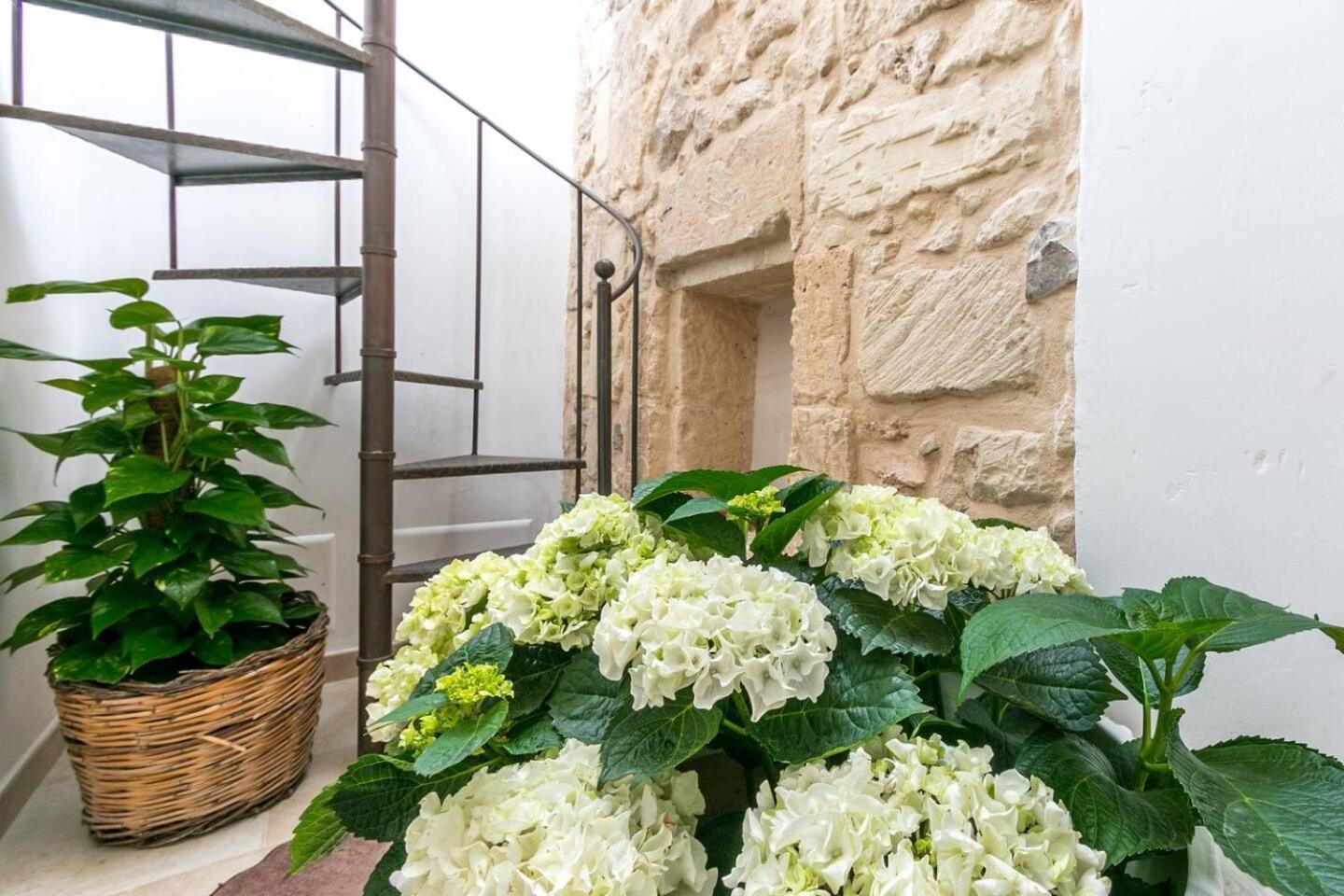 Caminanti Acomodação com café da manhã Lecce Exterior foto